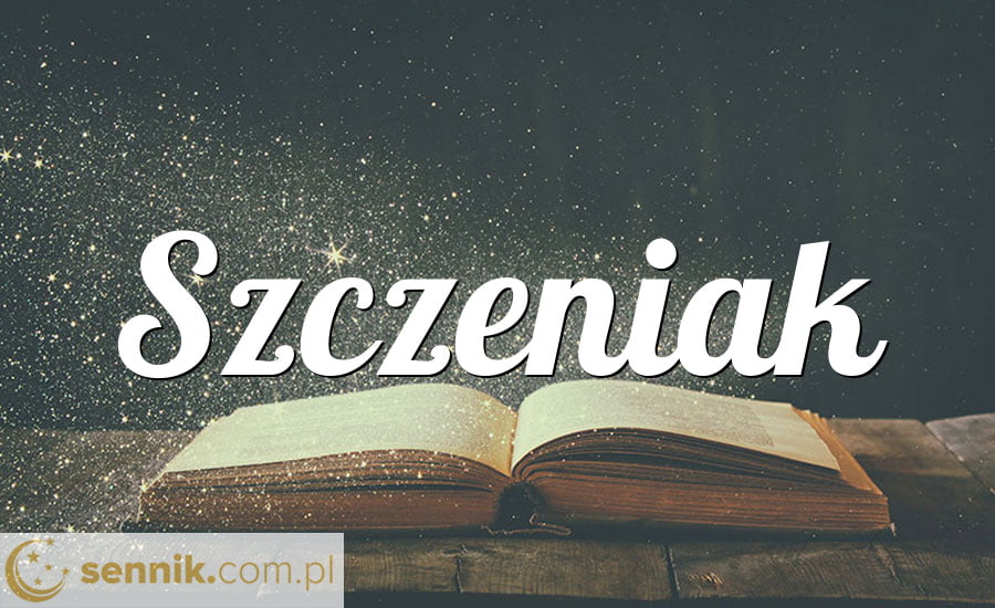 Szczeniak