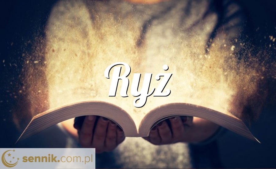 Ryż